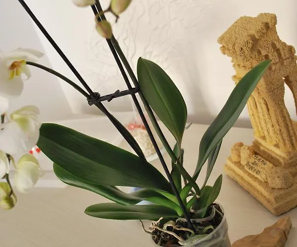 Bed and breakfast Mare E Templi Agrigento