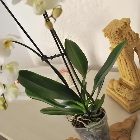 Bed & Breakfast Mare E Templi Agrigento